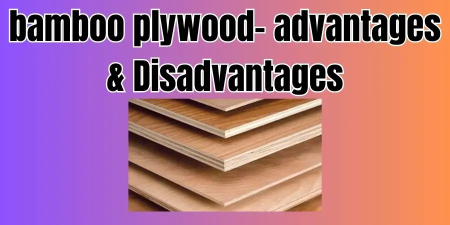 What are the Advantages and Disadvantages of using Bamboo Plywood? 