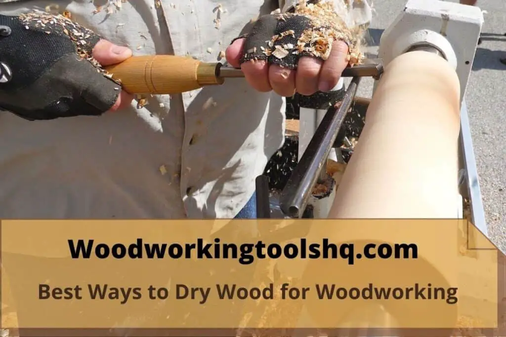 Best Ways to Dry Wood for Woodworking