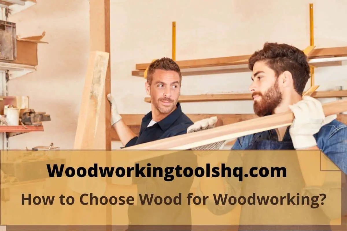 How to Choose Wood for Woodworking?
