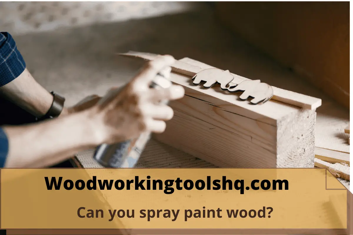 Can you spray paint wood
