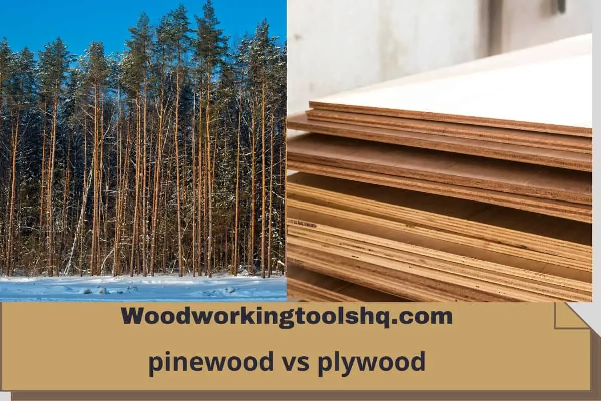 pinewood vs plywood