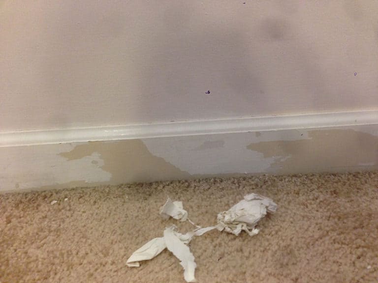 What happens if you paint wood without a primer? WoodworkingToolsHQ