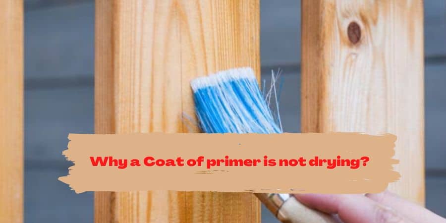 Why a Coat of primer is not drying? - WoodWorkingToolsHQ